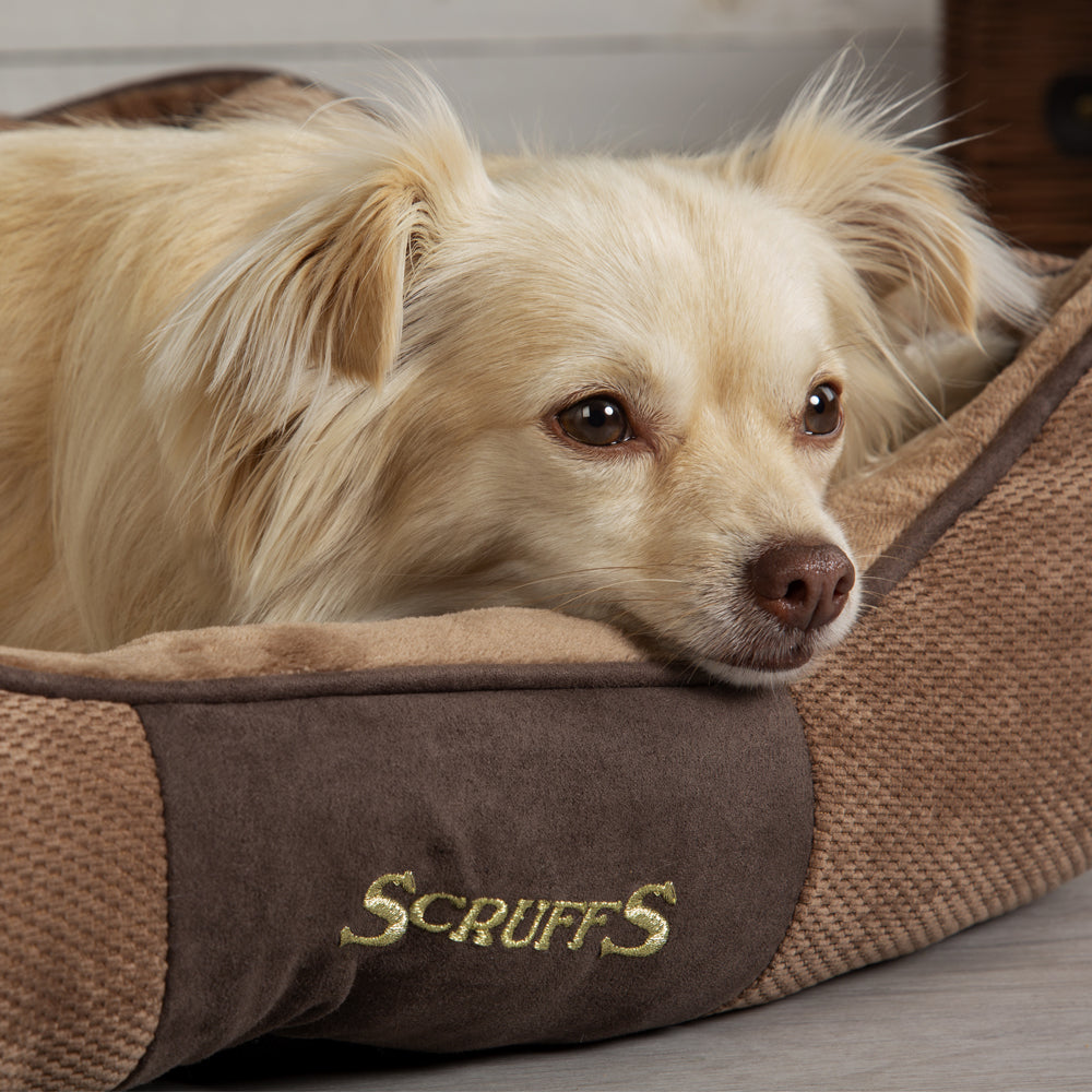 Chester Box Dog Bed (in Chocolate Brown, Dark Grey or Graphite Grey) by Scruffs