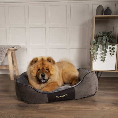 Chester Box Dog Bed (in Chocolate Brown, Dark Grey or Graphite Grey) by Scruffs