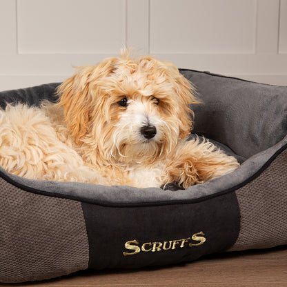 Chester Box Dog Bed (in Chocolate Brown, Dark Grey or Graphite Grey) by Scruffs